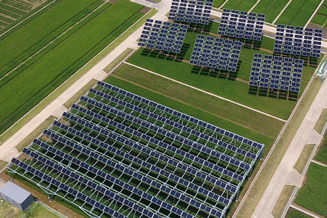 영농형태양광 전경. (사진=파루)