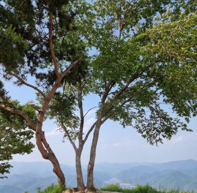 군위화산산성전망대4