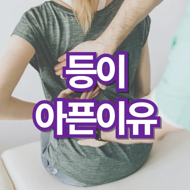 등이-아픈-이유