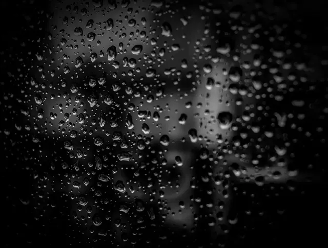 바퀴벌레-퇴치법-습도