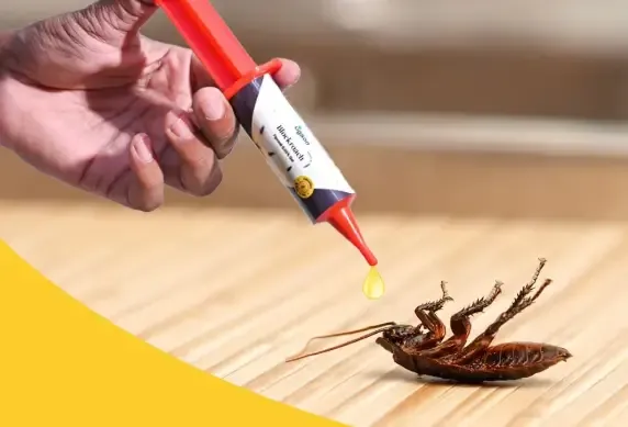 바퀴벌레-퇴치법-퇴치약