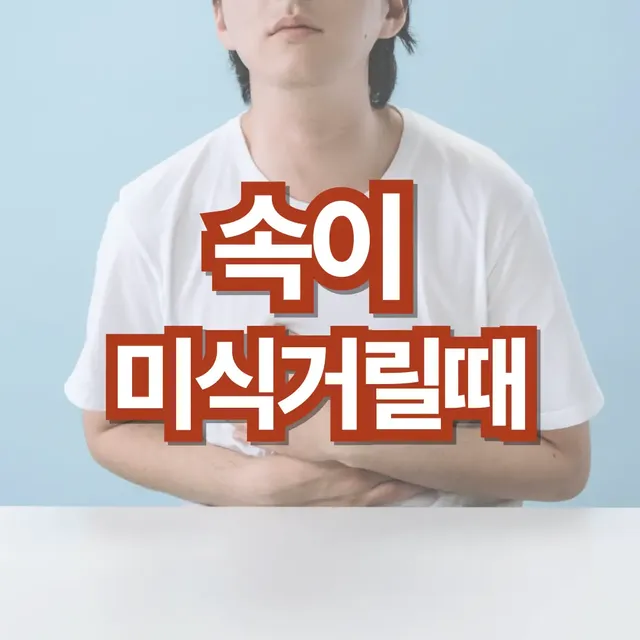 속이-미식거릴때