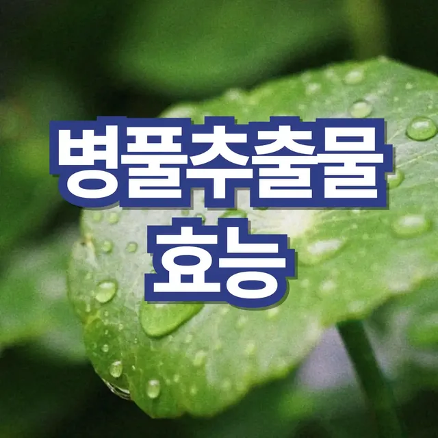 병풀-추출물-효능