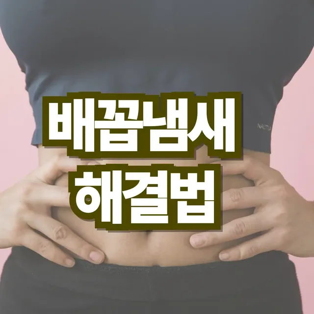 배꼽냄새-없애는-법