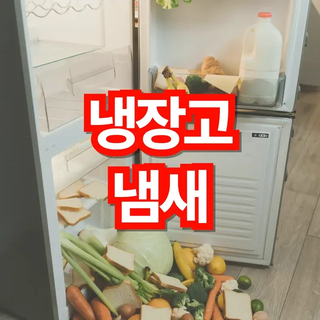 냉장고-냄새-없애는-방법