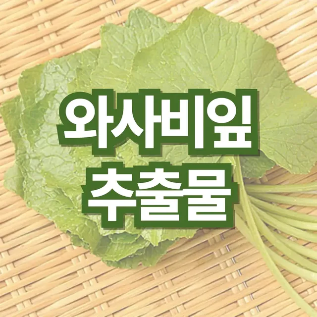 와사비잎-추출물-효능