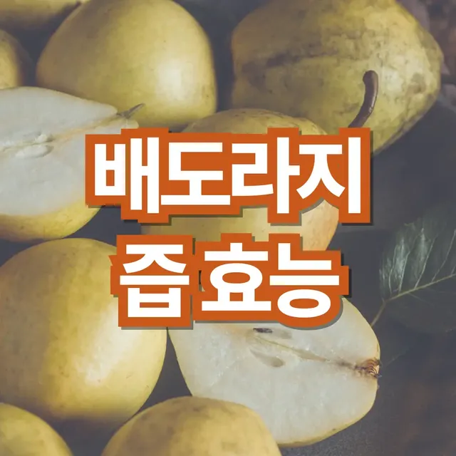 배도라지즙-효능