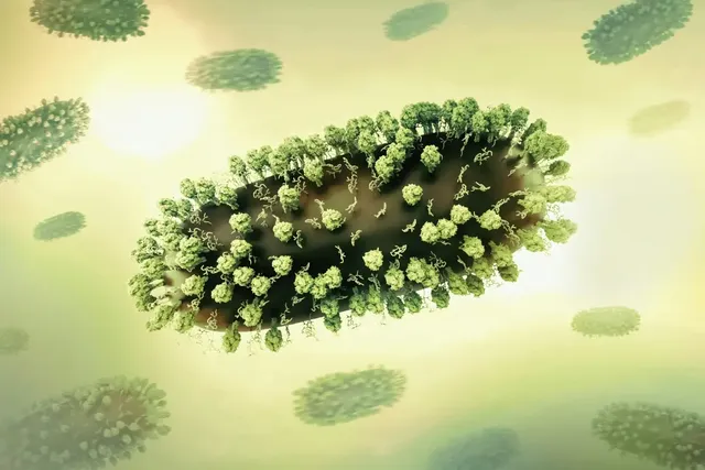 폐렴-치료-기간-바이러스