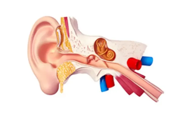 귀밑-통증-중이염