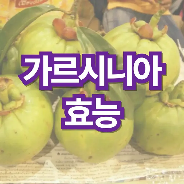 가르시니아-효능