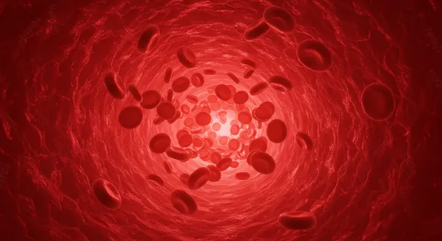 회화나무-열매-효능-혈관-개선