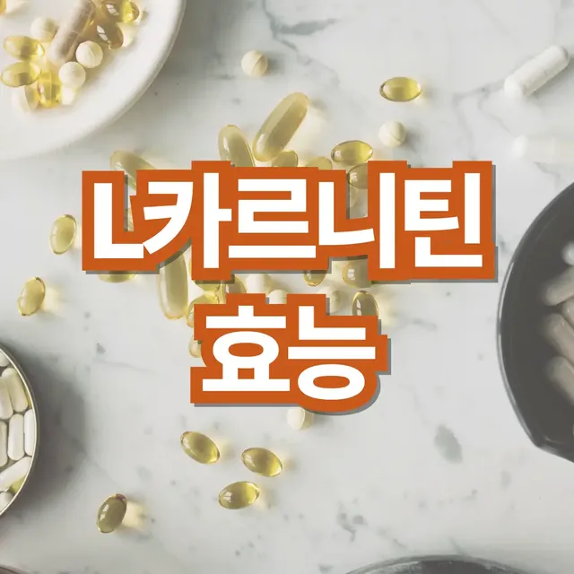 L카르니틴-효능