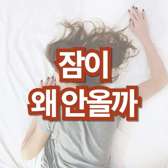 잠이-안오는-이유