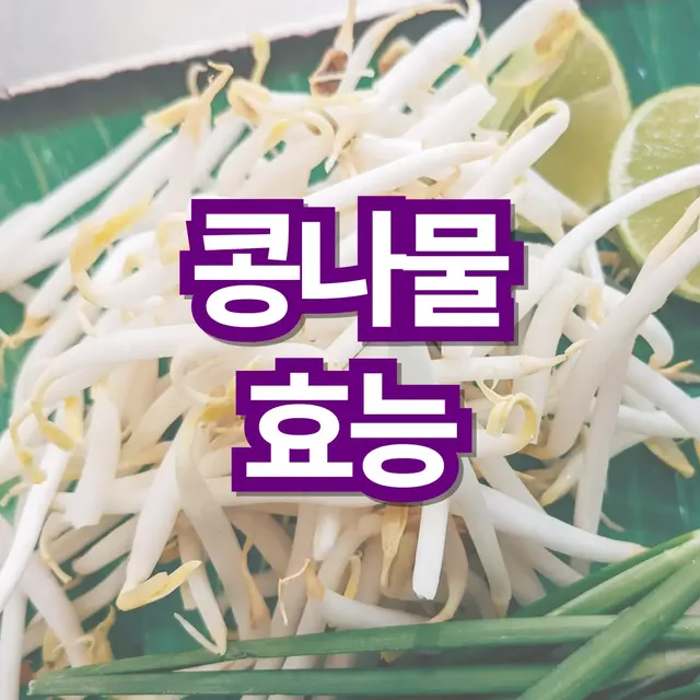 콩나물-효능
