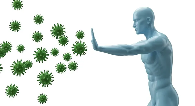 콩나물-효능-면역력-강화