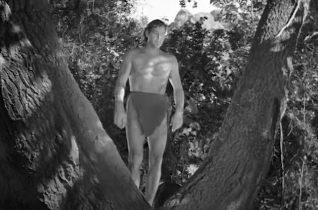 출처=유튜브 캡처