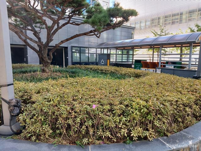 사진촬영 ㅡ 최로앱