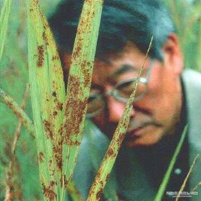 삽화=최로엡 화백