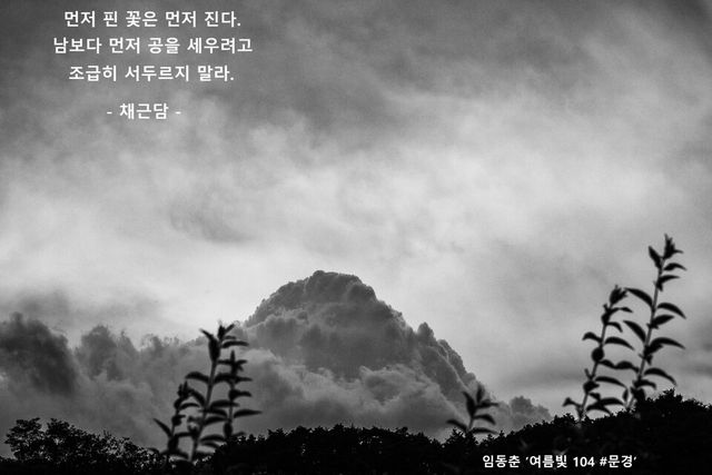 임동춘 ‘여름빛 104 #문경’