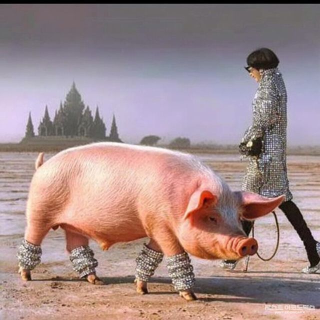 패러디 삽화=최로엡 화백