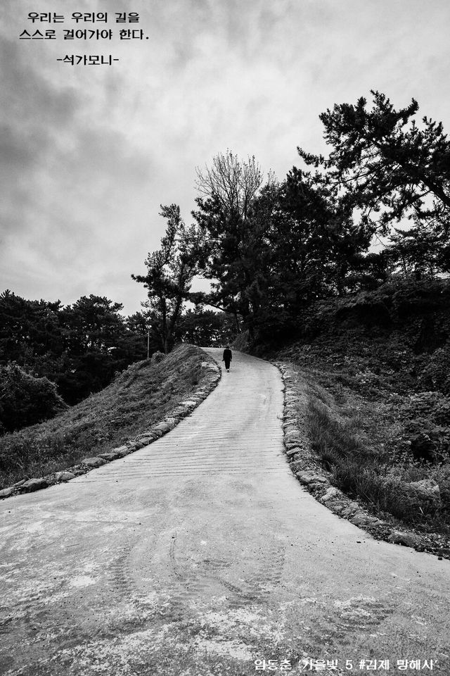 임동춘 ‘가을빛 5 #김제 망해사’