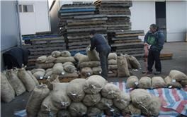 활조개 품목별 선별작업/보세창고