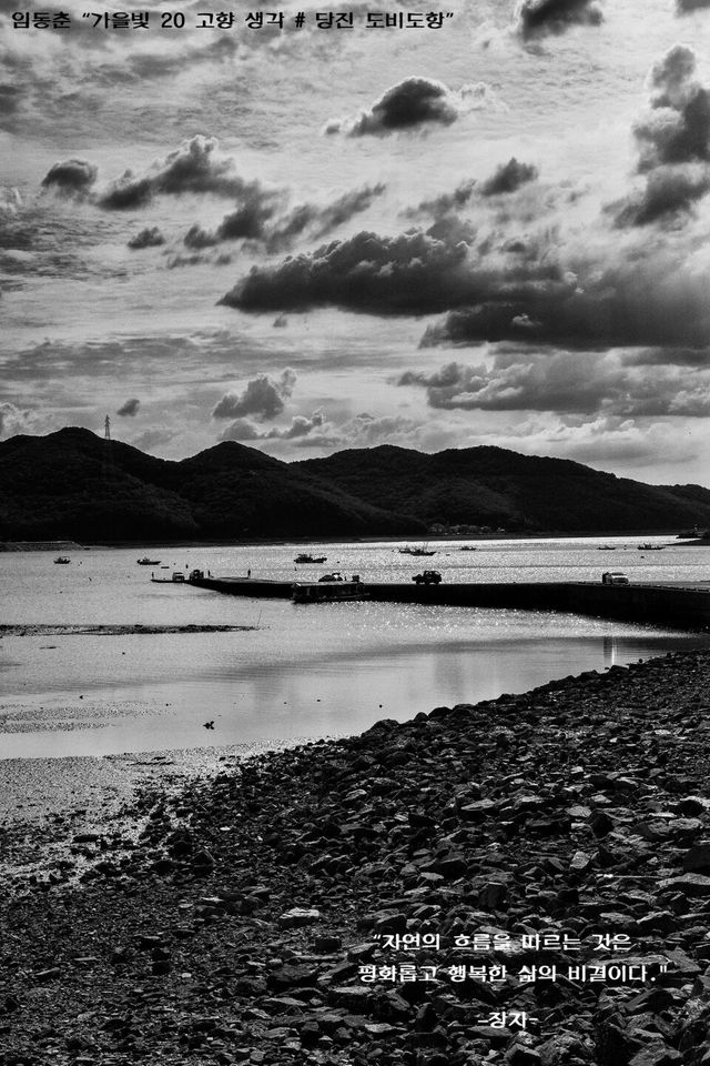 임동춘 “가을빛 20 고향 생각 # 당진 도비도항”