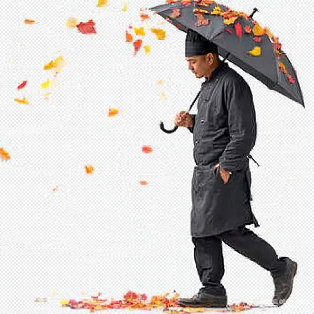 패러다 삽화=최로엡 화백