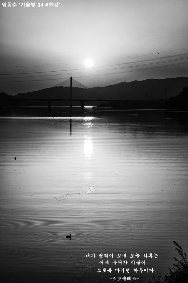 임동춘 ‘가을빛 34 #한강’