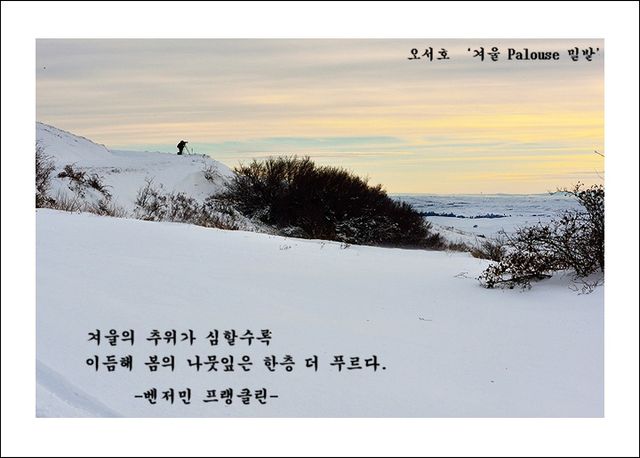 오서호 ‘겨울 Palouse 밀밭’