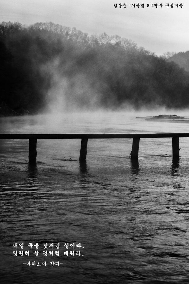 임동춘 ‘겨울빛 8 #영주 무섬마을’