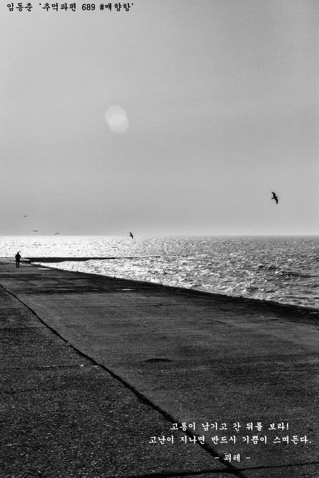 임동춘 ‘추억파편 689 #매향항’