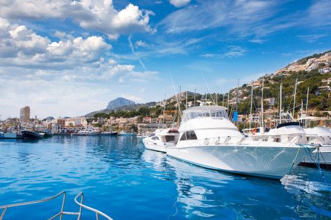 뉴질랜드 남섬 전경