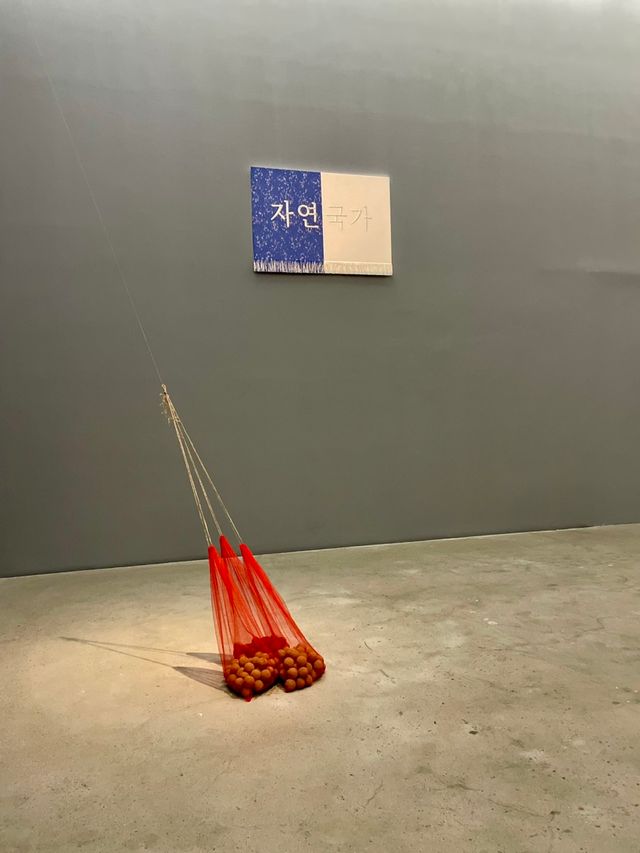 사진=강백향 선생님