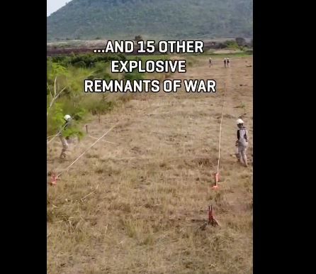 출처=Apopo 엑스(X) 캡처