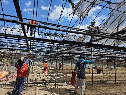 산불피해지역 의성 단촌면 비닐하우스 정리 자원봉사활동 모습(사진 : 광주광역시자원봉사센터)