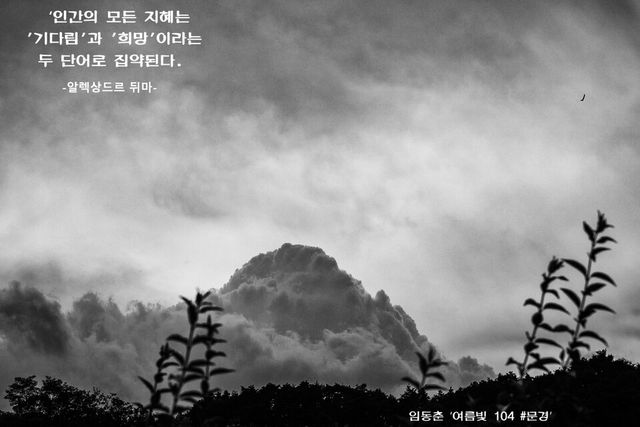 임동춘 ‘여름빛 104 #문경’