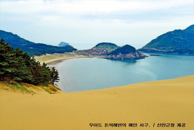 사진=신안군청 제공