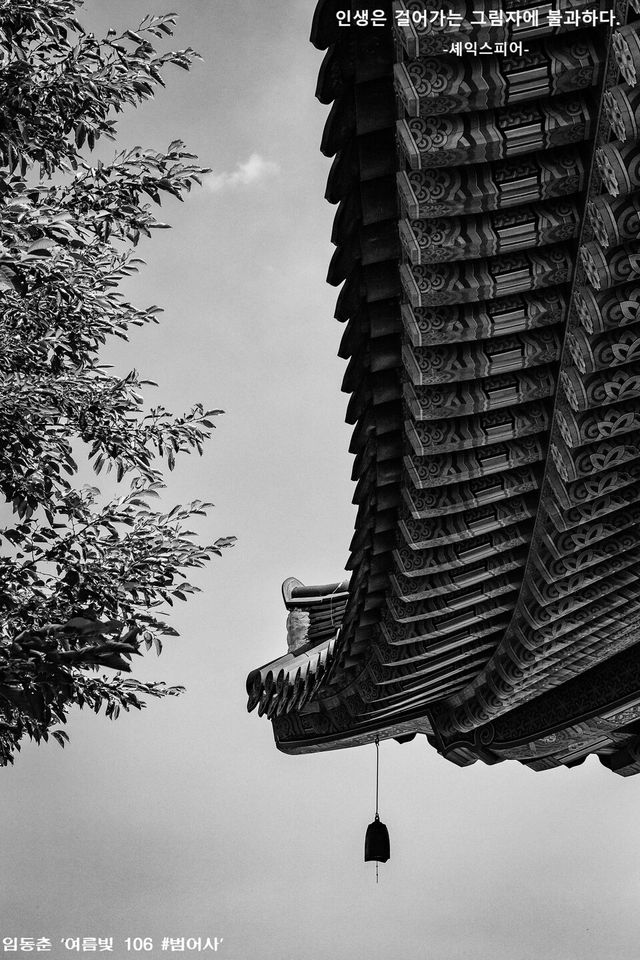 &nbsp; &nbsp; &nbsp; &nbsp; &nbsp; &nbsp; &nbsp; &nbsp; &nbsp; &nbsp; &nbsp; &nbsp; &nbsp; &nbsp; &nbsp; &nbsp; &nbsp; &nbsp; &nbsp; &nbsp; &nbsp; &nbsp; &nbsp; &nbsp; &nbsp; &nbsp; &nbsp; &nbsp; &nbsp; &nbsp; &nbsp; &nbsp; &nbsp; &nbsp; &nbsp; &nbsp; &nbsp; &nbsp; &nbsp; &nbsp; &nbsp; &nbsp; &nbsp; &nbsp; &nbsp; &nbsp; &nbsp; &nbsp; &nbsp; &nbsp; &nbsp; &nbsp; &nbsp; &nbsp; &nbsp; &nbsp; &nbsp; &nbsp; &nbsp; &nbsp; &nbsp; &nbsp; &nbsp; &nbsp; &nbsp; &nbsp; &nbsp; &nbsp; 임동춘 ‘여름빛 106 #범어사’