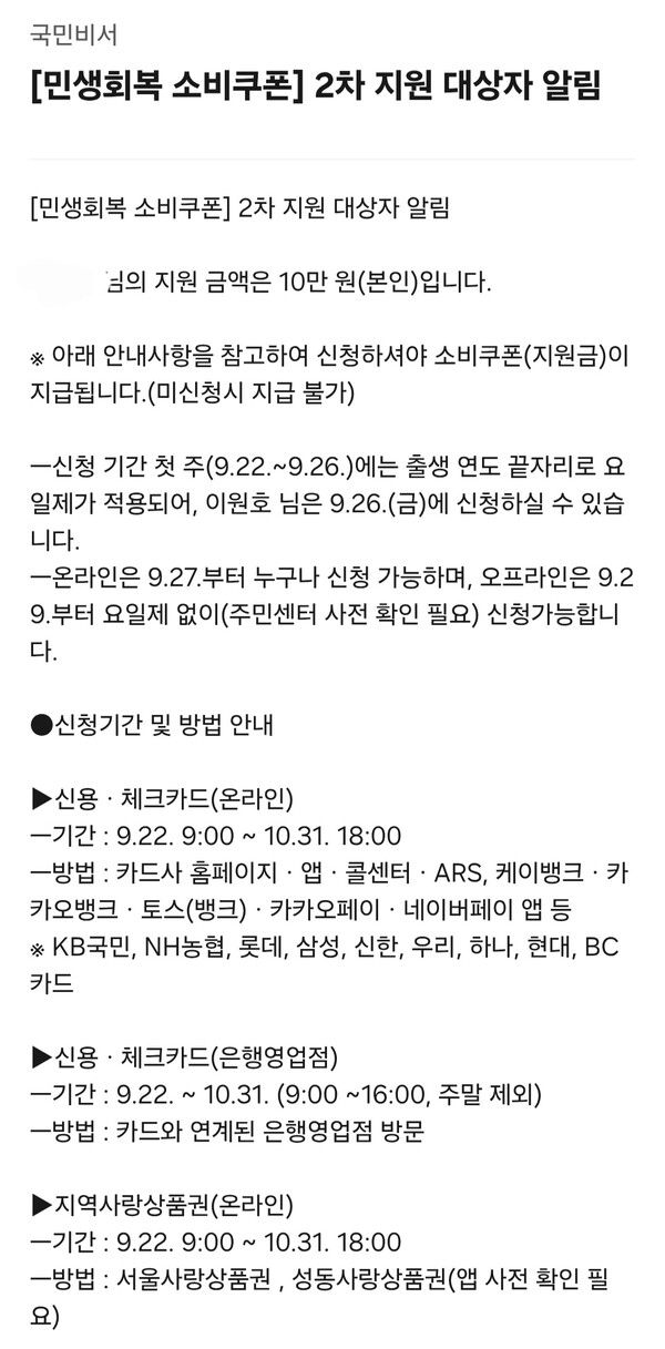 소비쿠폰2