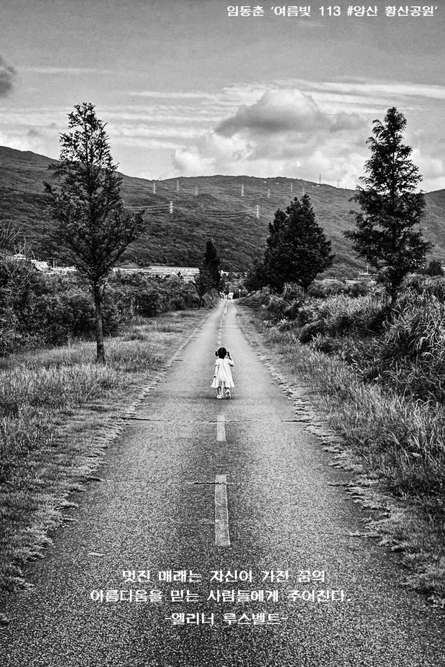 임동춘 ‘여름빛 113 #양산 황산공원’