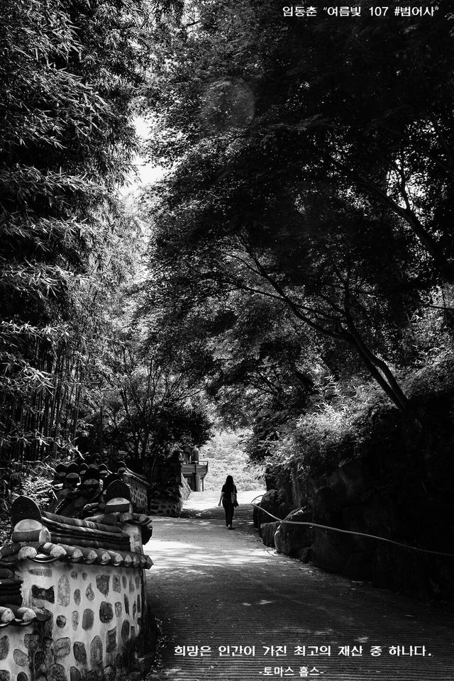임동춘 “여름빛 107 #범어사”