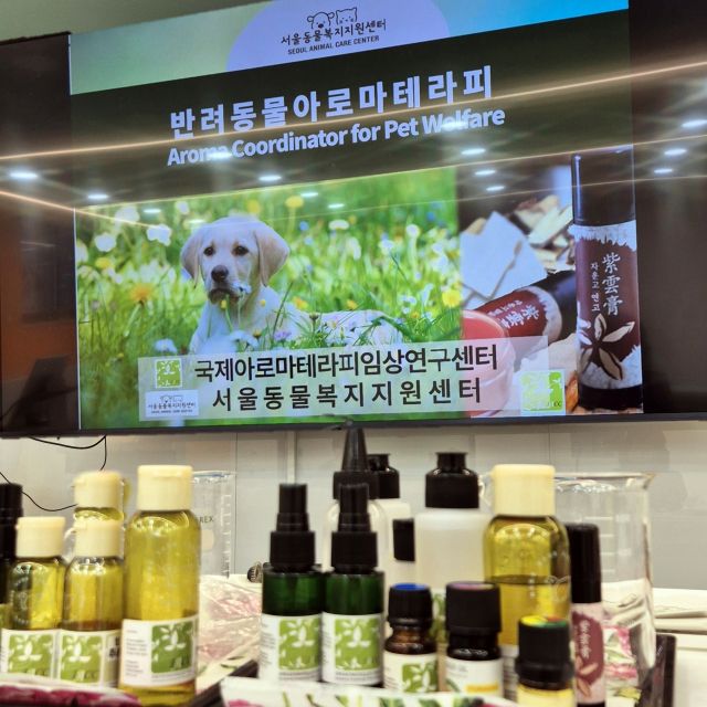 국제아로마테라피임상연구센터는 보호자와 반려동물 위한 피부·심리 치유 프로그램 운영하고 있다