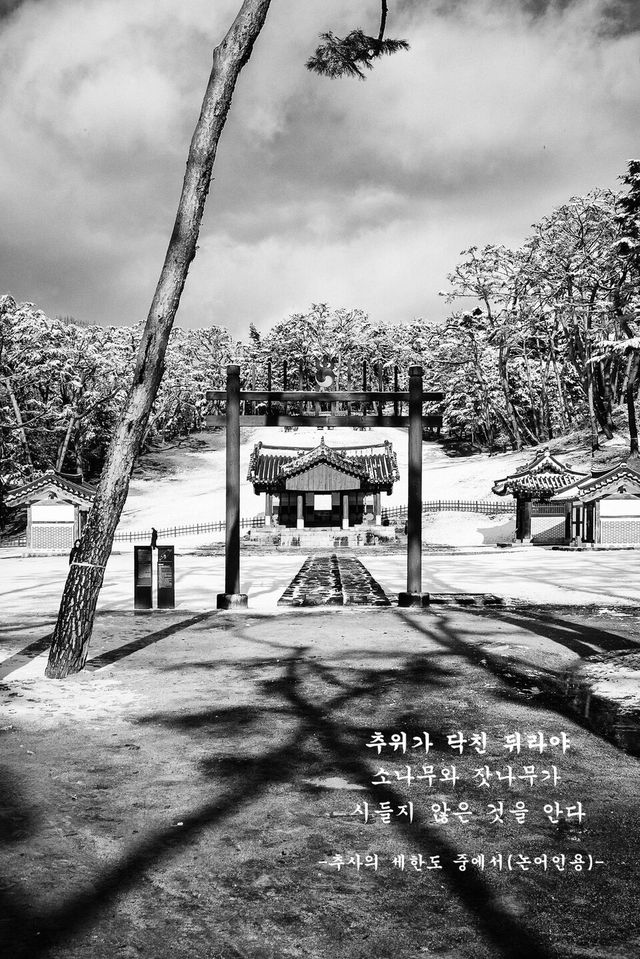 임동춘 ‘겨울빛 16 #남양주 사릉’&nbsp;