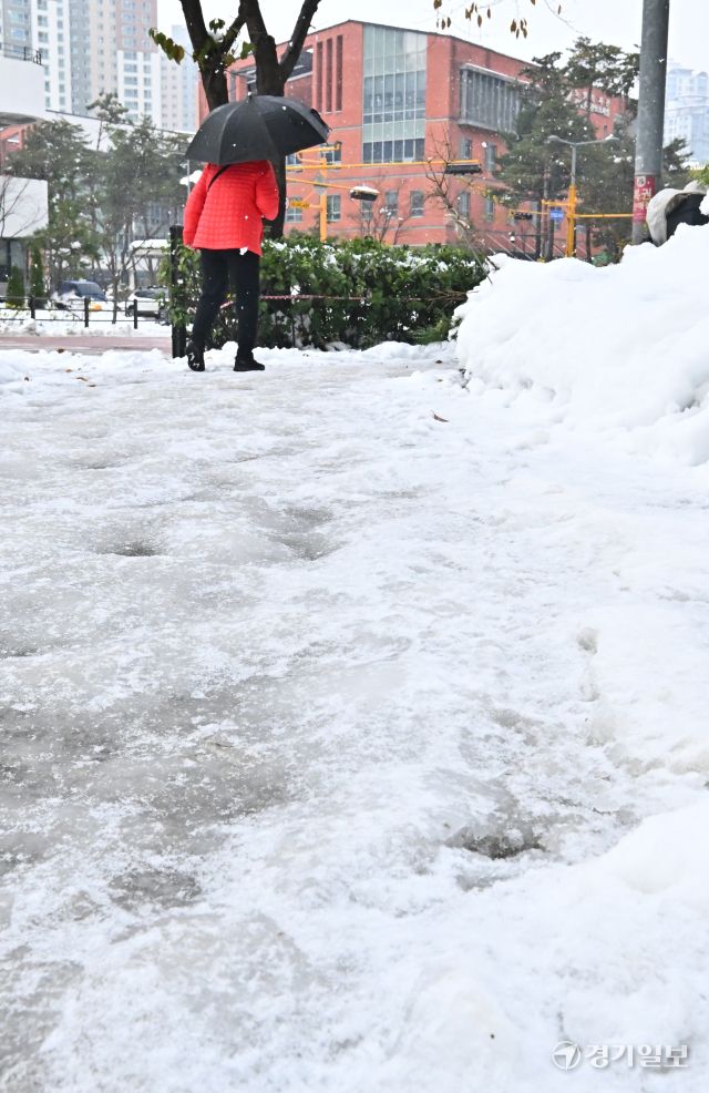 아직 눈이 녹지도 않았는데.. 다시 내리기 시작한 눈 [포토뉴스]
