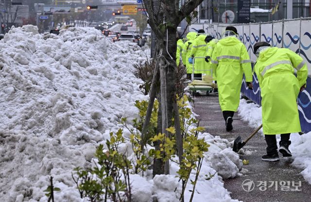 아직 눈이 녹지도 않았는데.. 다시 내리기 시작한 눈 [포토뉴스]
