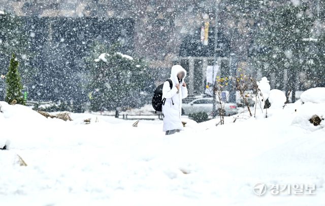 아직 눈이 녹지도 않았는데.. 다시 내리기 시작한 눈 [포토뉴스]