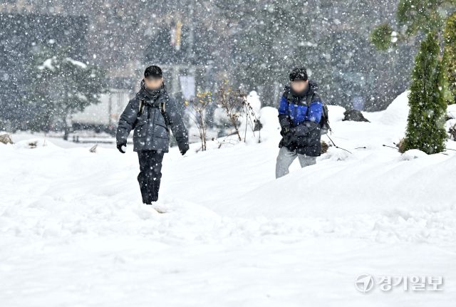 아직 눈이 녹지도 않았는데.. 다시 내리기 시작한 눈 [포토뉴스]