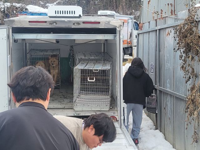 양평군 축산과 직원들이 양평읍 대흥리의 한 컨테이너에서 동물들을 구조하고 있다. 양평군 제공