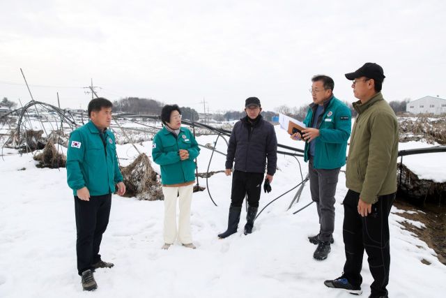김경희 이천시장이 휴일에도 모가면 비닐하우스 붕괴 대설 피해현장을 방문해 복구 신속 추진 등에 대한 의견을 나누고 있다. 이천시 제공